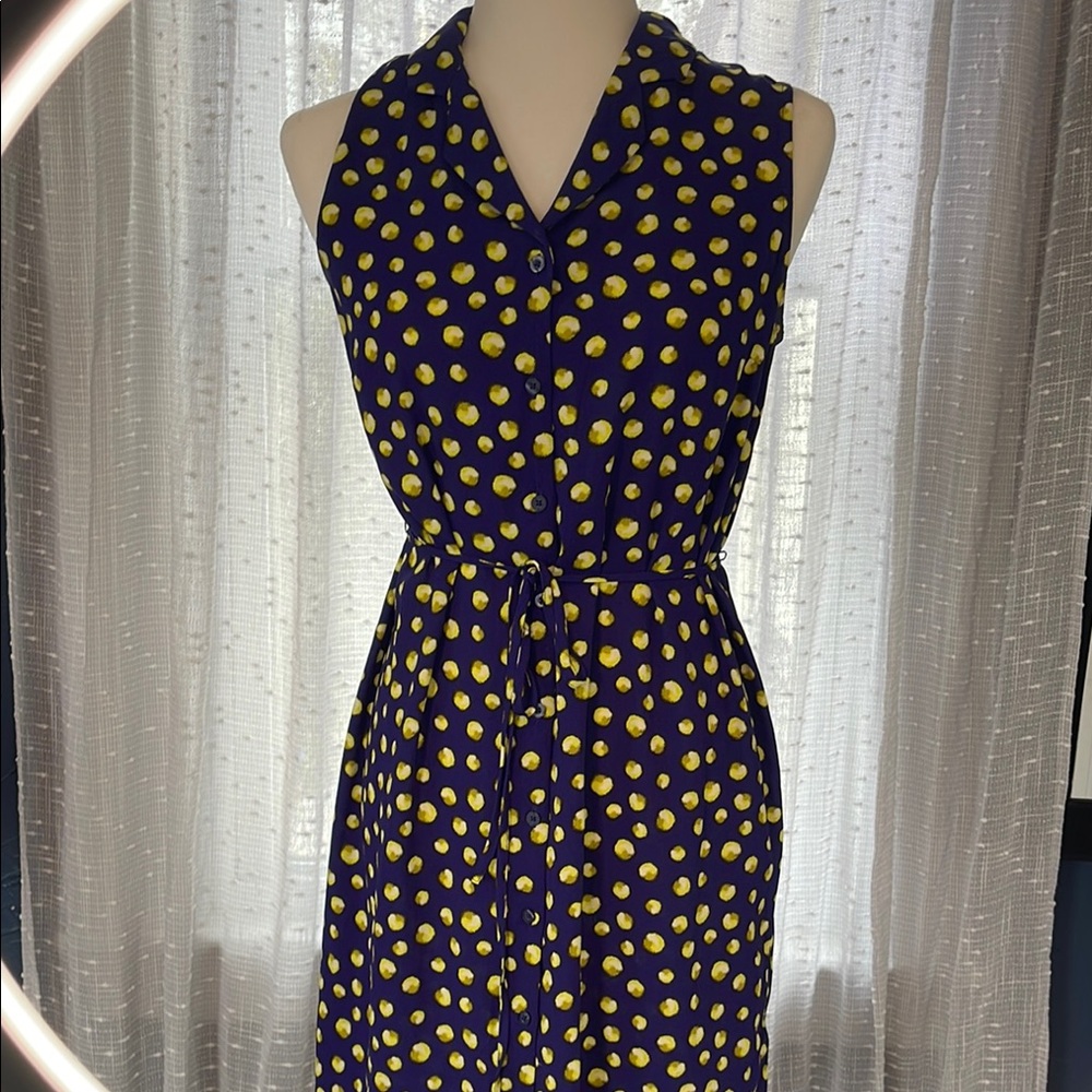 Polka Dot Sleeveless Dress